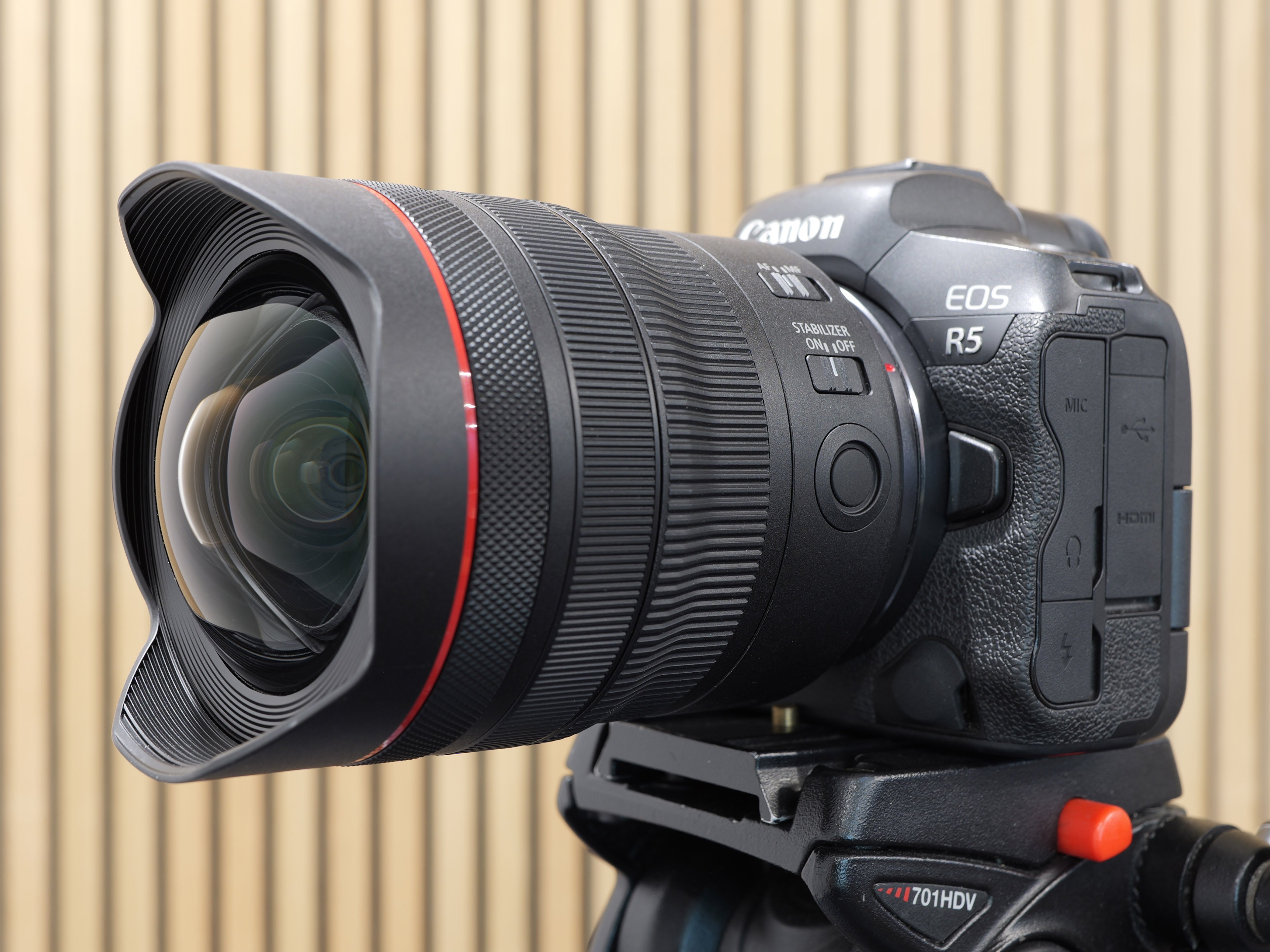 Canon RF 10-20mm f4L IS review-so-far