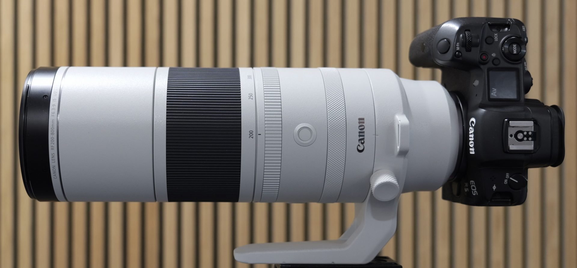 Canon RF 200-800mm f6.3-9 review so far