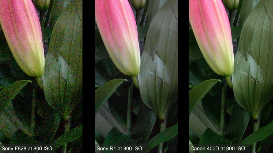 sony-f828-vs-sony-r1-vs-canon-400d-noise