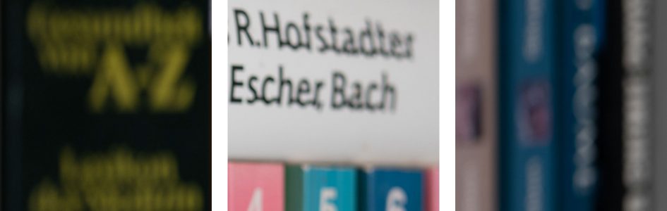 bookeh_Voigtlander50f2Z_f2_95911crops