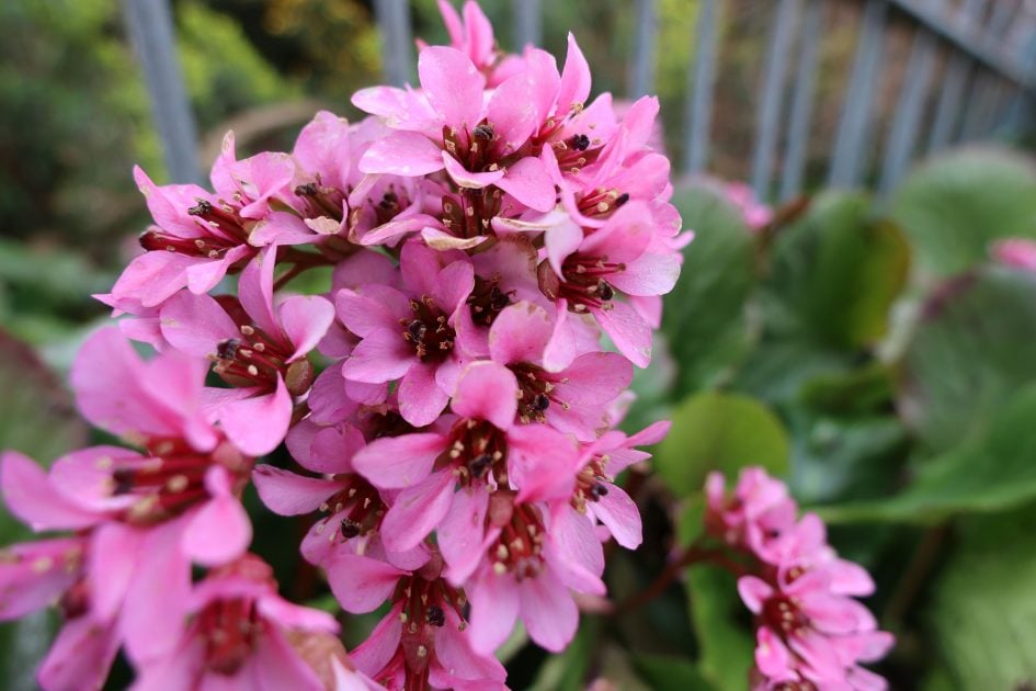 canon-powershot-v1-sample-image-IMG_1760