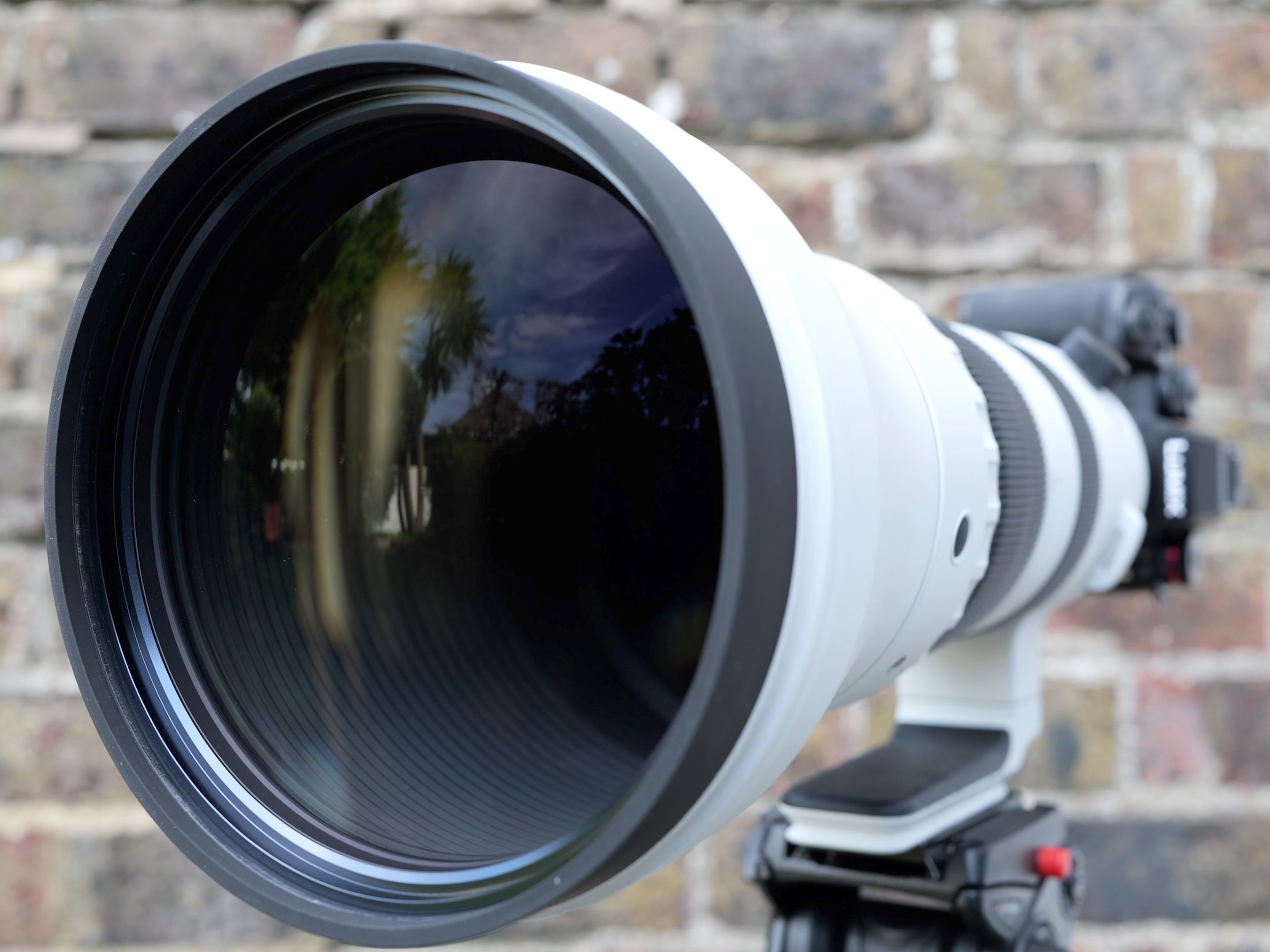 Sigma 300-600mm f4 DG OS review