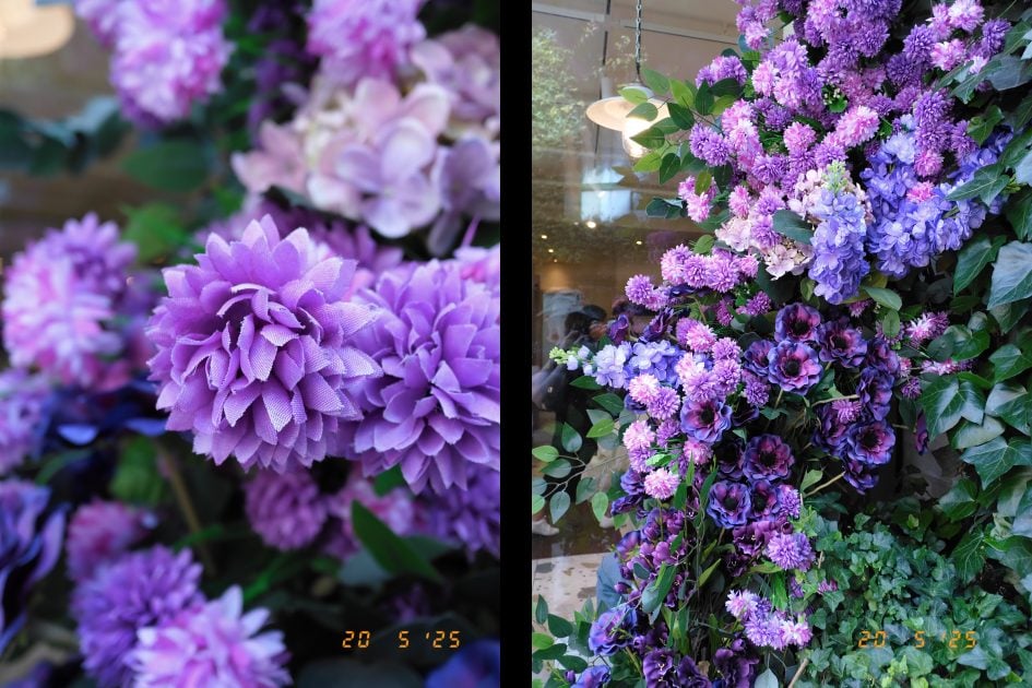 DSCF0046