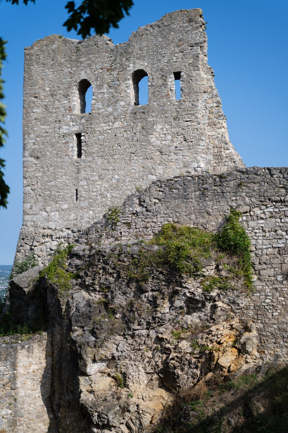 ZeissOtusML50f1-4_f1-4_34536