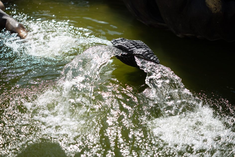 ZeissOtusML50f1-4_f1-4_35017