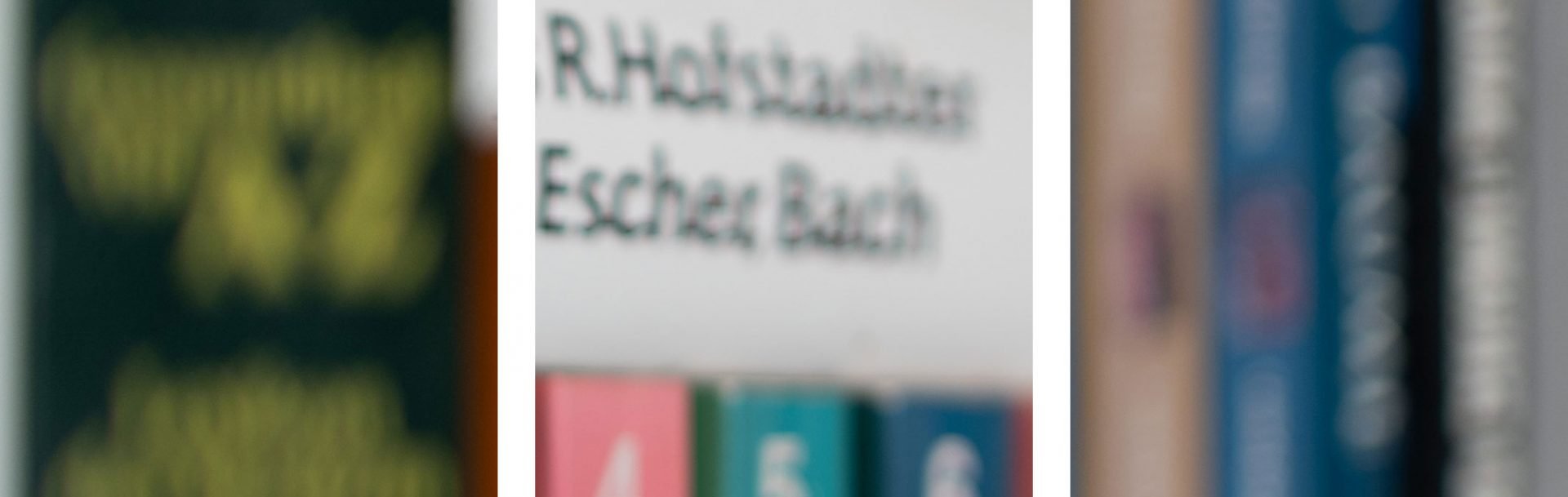 bookeh_Zeiss55f1-4Otus_f1-4_54105crops