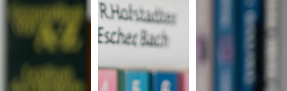 bookeh_ZeissOtusML50f1-4_f1-4_34803crops