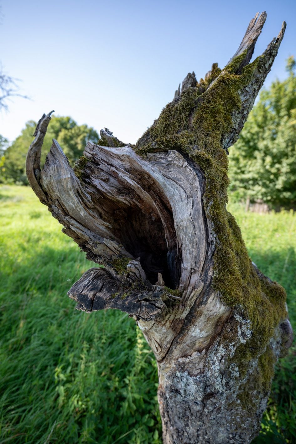 Tamron16-30f2-8_16f2-8_28993