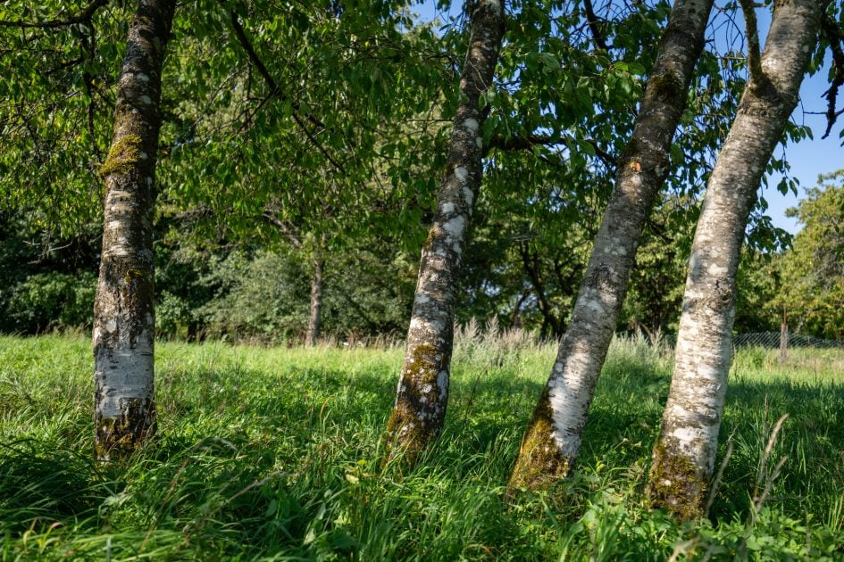 Tamron16-30f2-8_30f2-8_28986