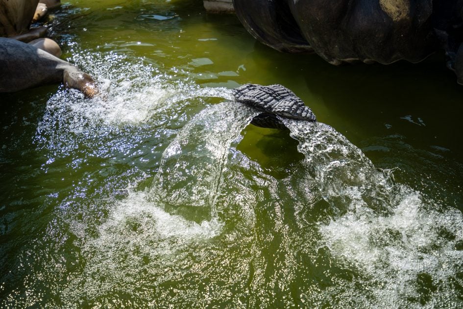 Tamron16-30f2-8_30f2-8_35018