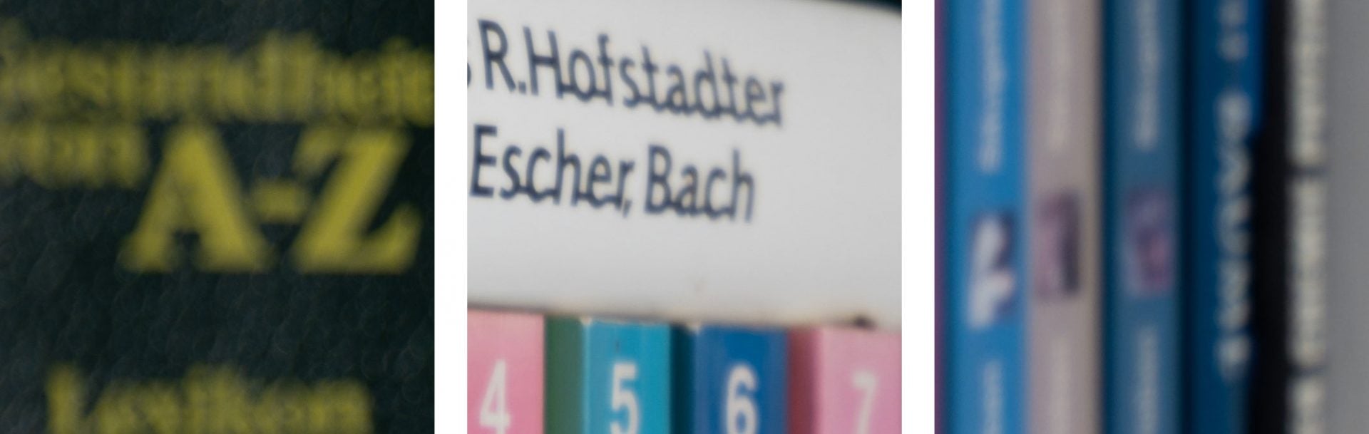 bookeh_Tamron16-30f2-8_30f2-8_34797crops