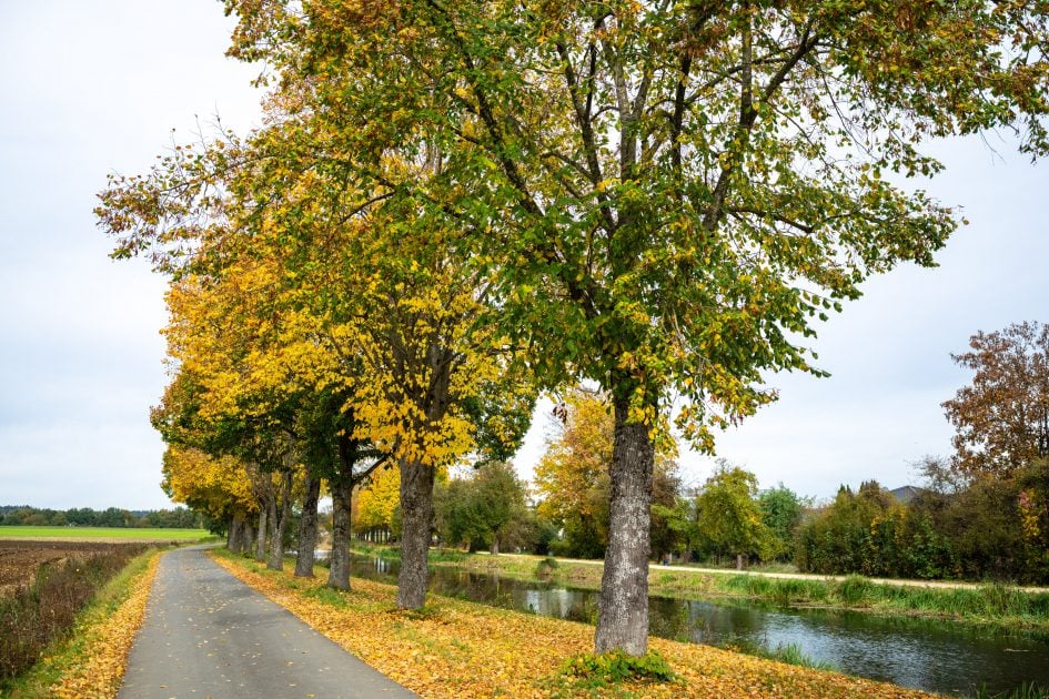 NikonZ24-70f2-8SII_34f2-8_28481