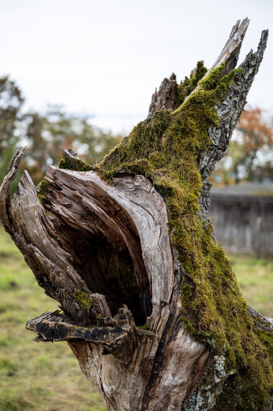 NikonZ24-70f2-8SII_40f2-8_28446