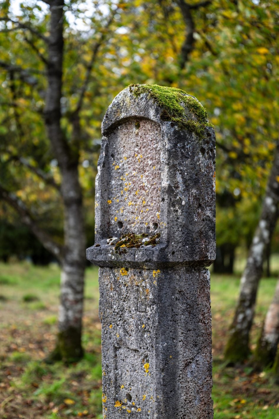 NikonZ24-70f2-8SII_70f2-8_28443