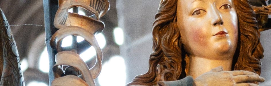 NikonZ24-70f2-8SII_70f2-8_28564crop