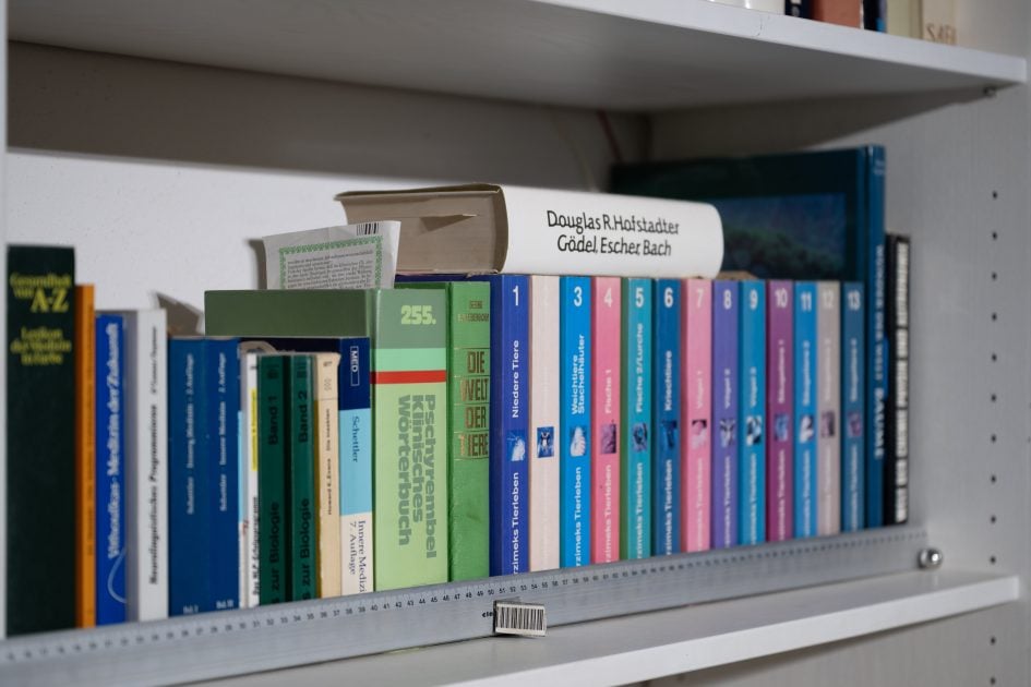 bookeh_NikonZ24-70f2-8SII_70f2-8_26821