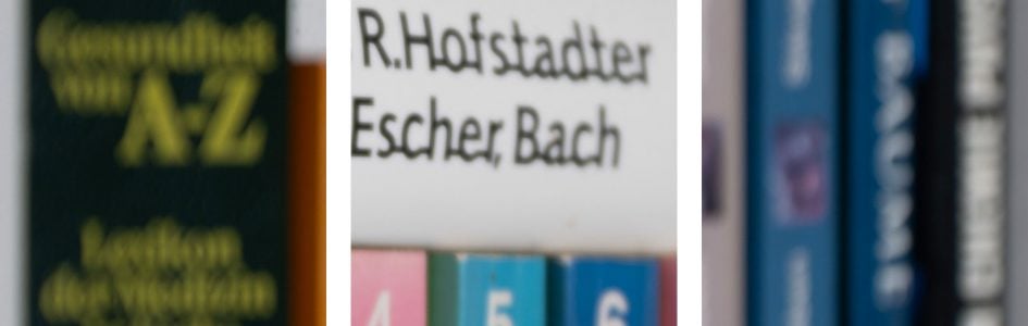 bookeh_NikonZ24-70f2-8SII_70f2-8_26821crops