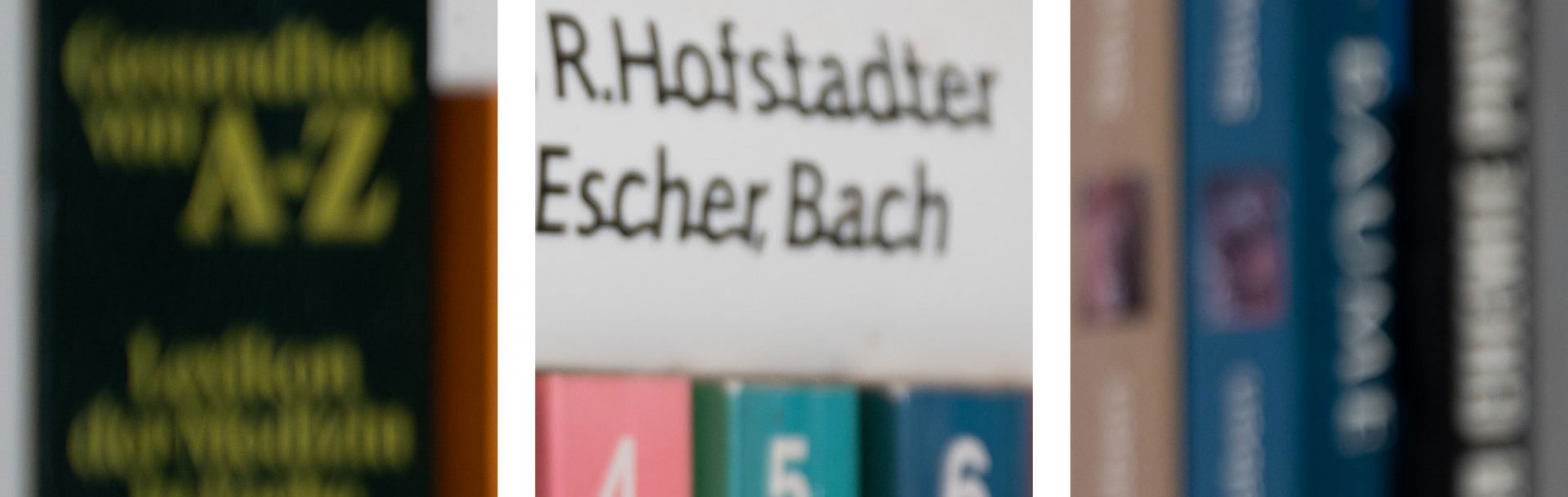 bookeh_NikonZ24-70f2-8S_70f2-8_56696crops