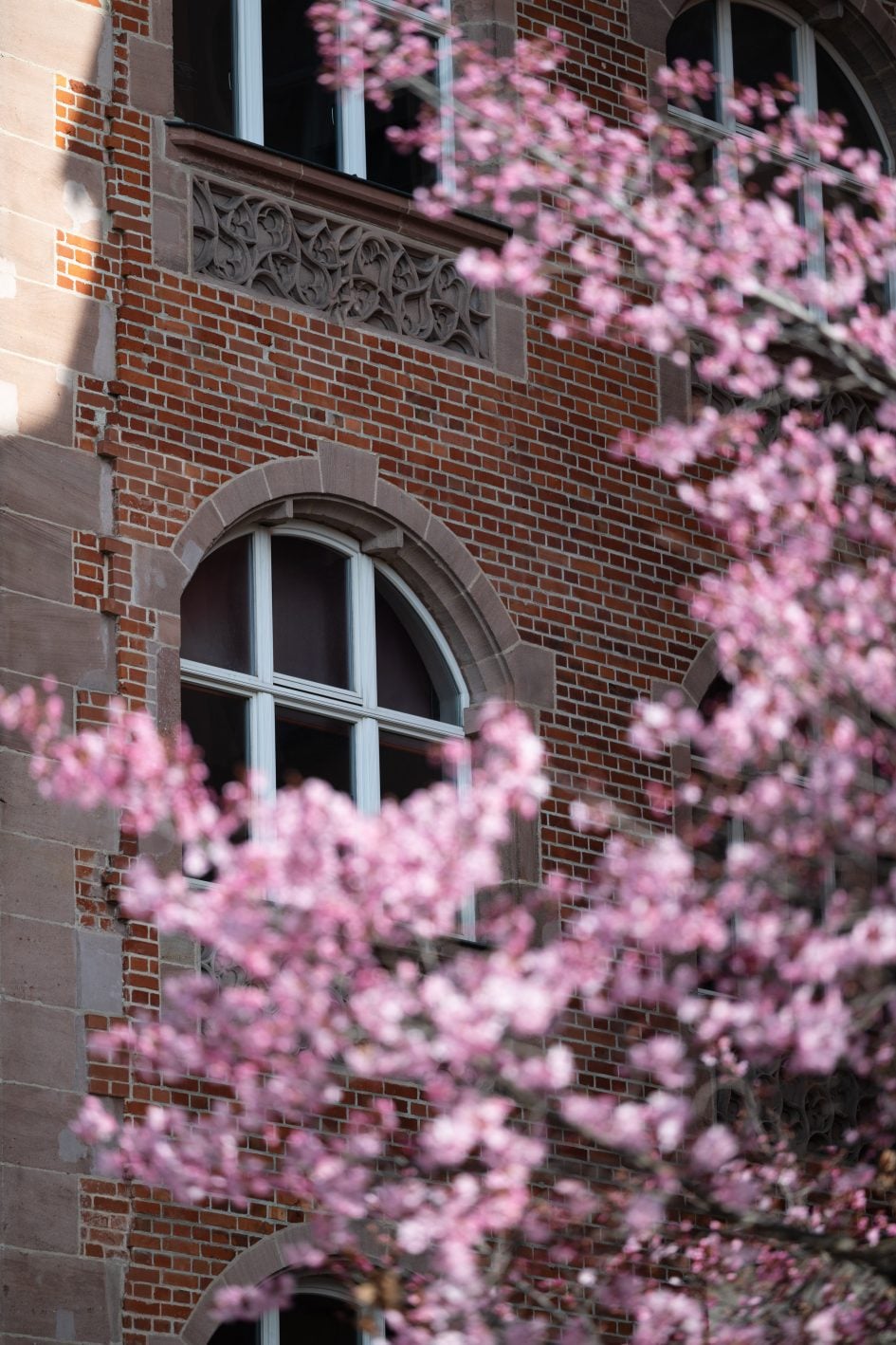 NikonZ70-200f2-8VRSII_170f2-8_36993