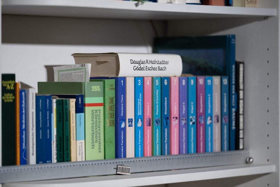 bookeh_NikonZ70-200f2-8VRSII_165f2-8_29513