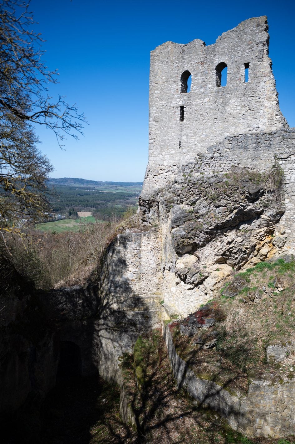 Voigtlander28f2Apo_f2_37301