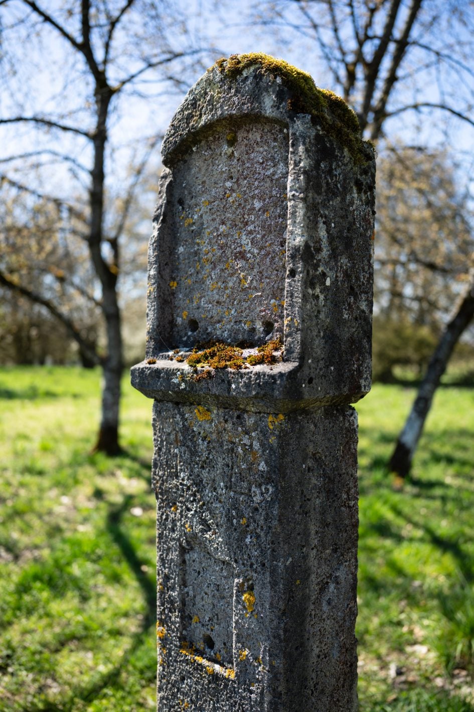 Voigtlander28f2Apo_f2_37319