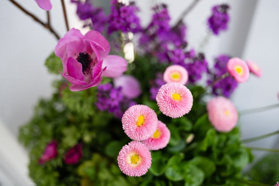 Voigtlander28f2Apo_f2_37327