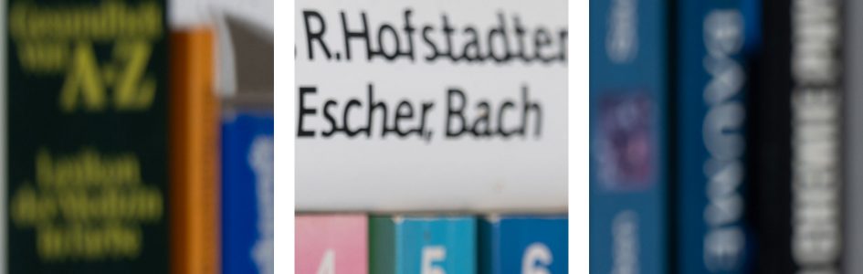 bookeh_NikonZ70-200f2-8VRSII_165f2-8_29513crops