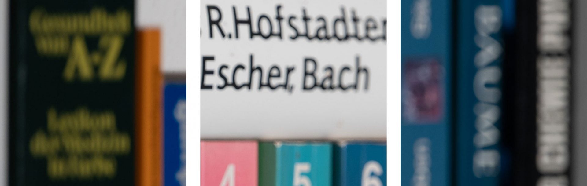 bookeh_NikonZ70-200f2-8VRS_165f2-8_73904crops