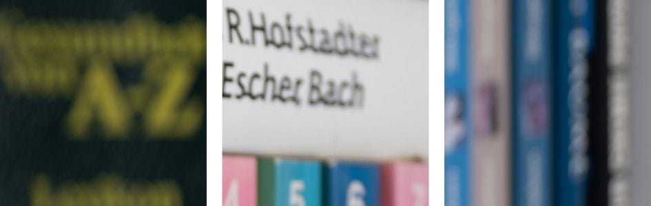 bookeh_Voigtländer35f2_f2_17375crops