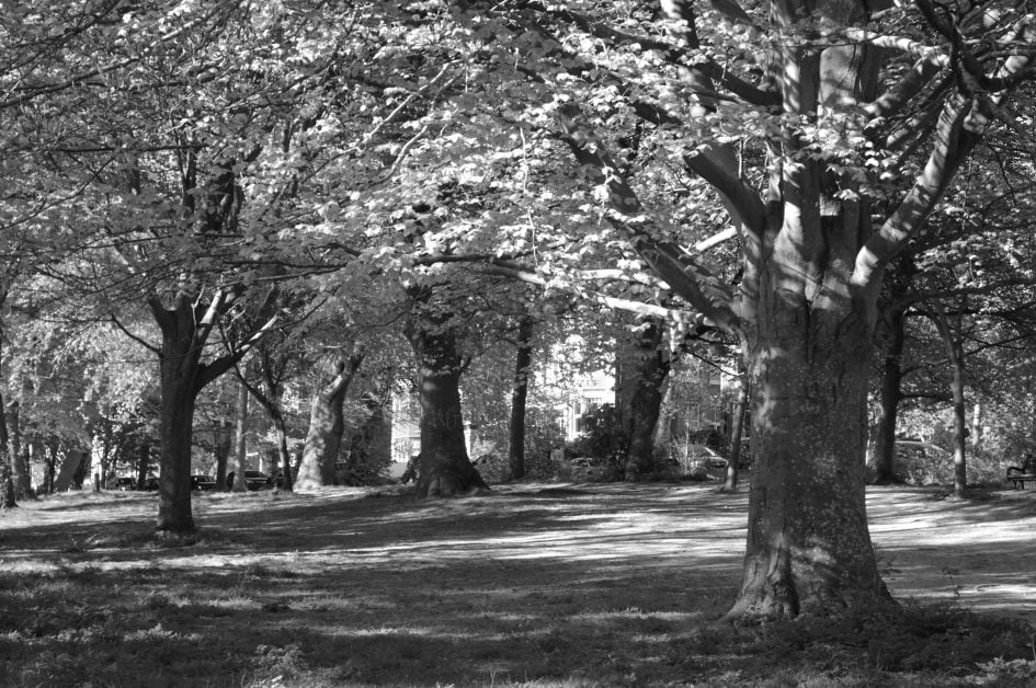epson-r-d1-sample-image-EPSN5626