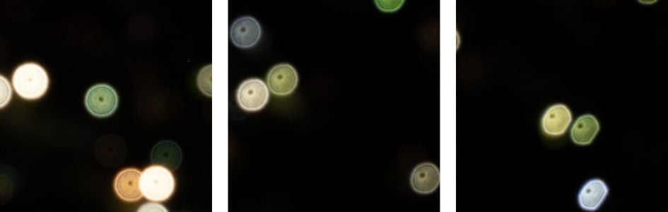 bokeh_NikonZ24-105_105f7-1_39350crops