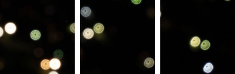 bokeh_NikonZ24-105_105f8_39351crops