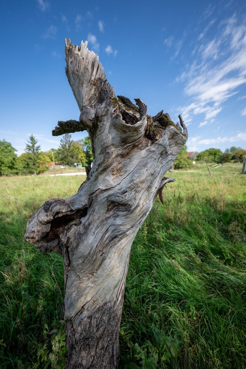 Tamron12-20f2-8_12f2-8_41406