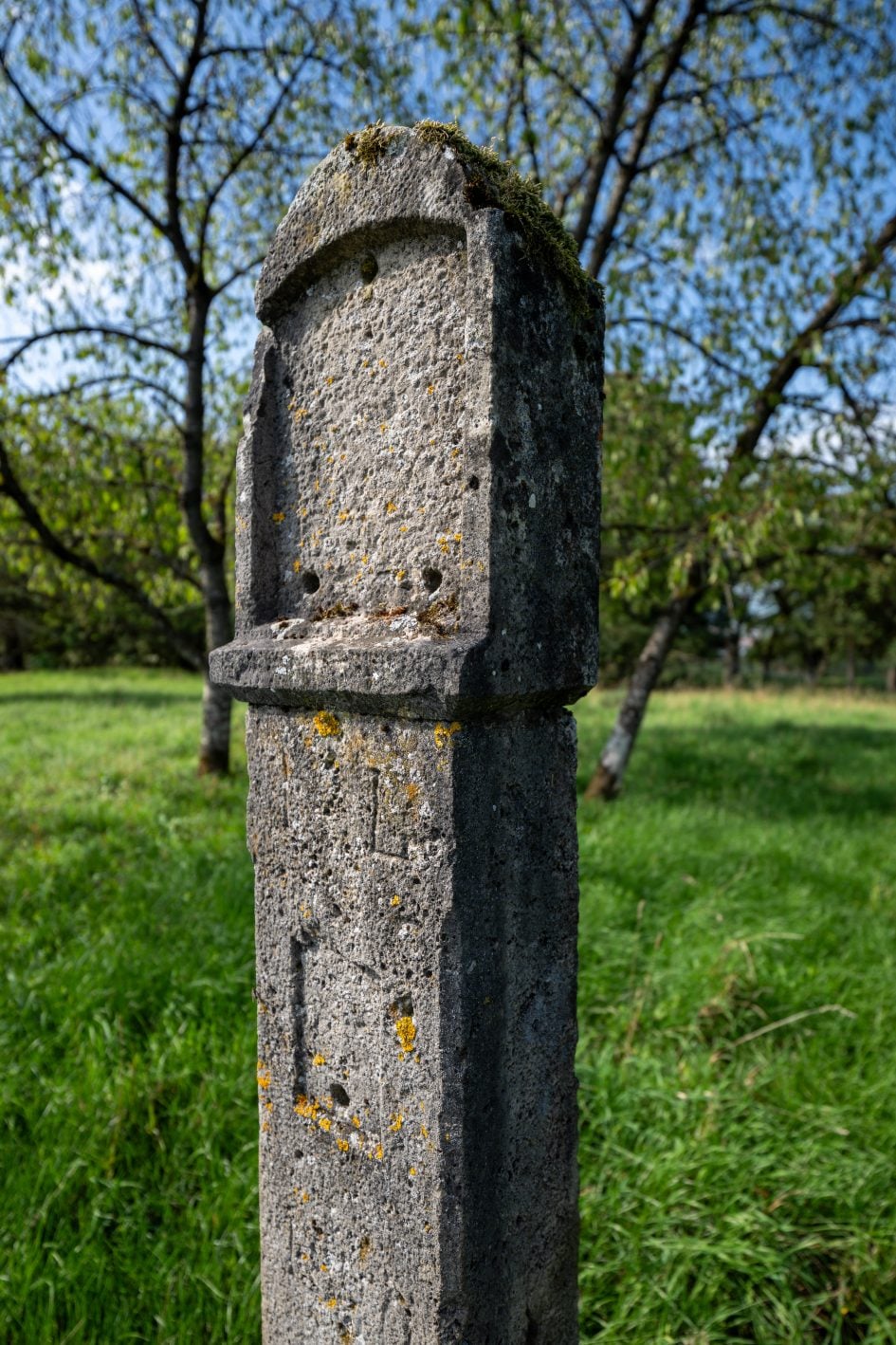 Tamron12-20f2-8_20f2-8_41400
