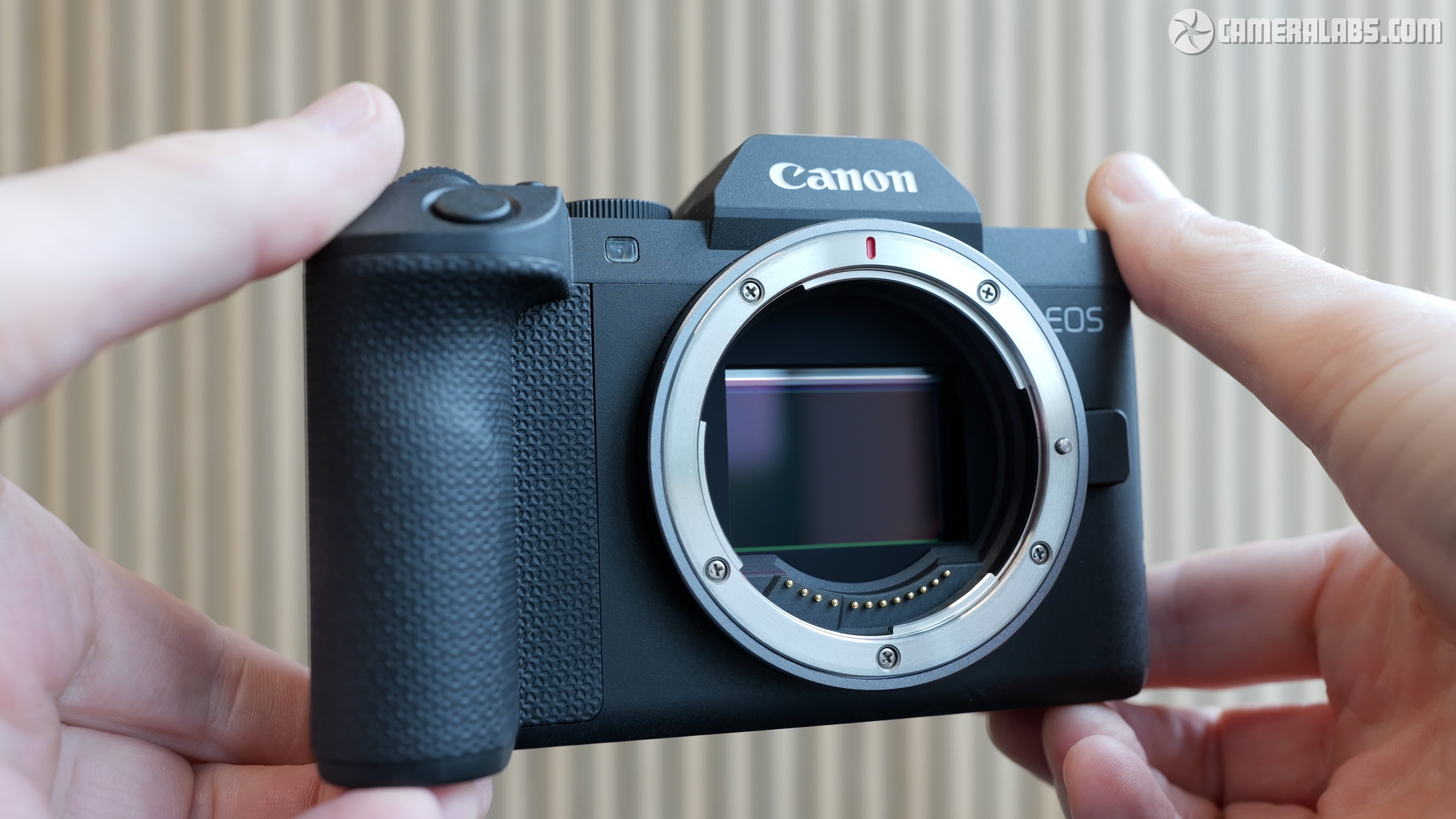 Обзор Canon EOS R8 Mark II: матричная стабилизация, джойстик и новый ретро-дизайн