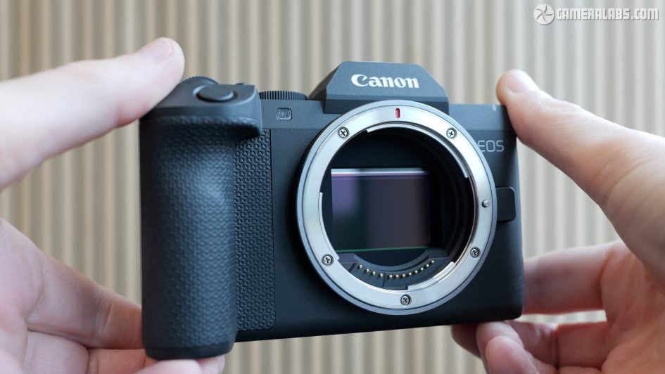 canon-eos-r8-mark-ii-review-1