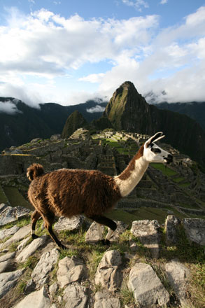 Wildlife Peru - Canon EF 17-40mm at 17mm f10