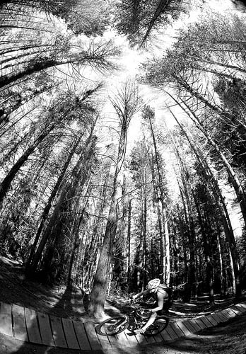 Canon EF 8-15mm fisheye sample image (EOS 7D)