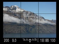 Canon 40D live view grid