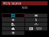 Canon 40D white balance