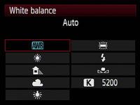 Canon 50D - white balance