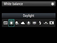 Canon EOS 5D Mark II - white balance