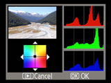 Nikon D40 - RGB histogram