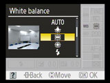 Nikon D40 - white balance menu
