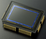 Nikon D40x sensor