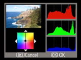 Nikon D40x - RGB histogram