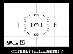 Nikon D80 viewfinder