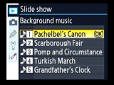 Nikon D80 background music menu