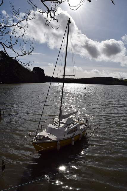 Nikon D3300 sample image